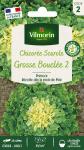 Potagères - Chicorée Scarole Grosse Bouclée 2 - PACKAGING_RECTO